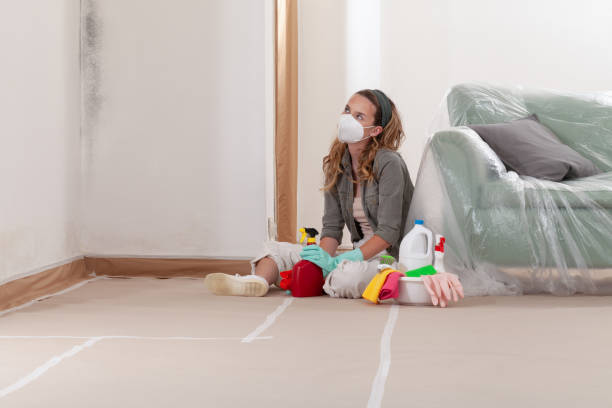 Trusted Black Mold Removal service in Forest Park, GA - Cheap Mold Removal