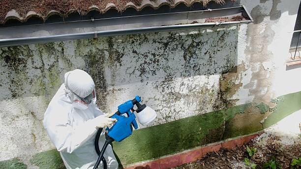 Trusted Commercial Mold Remediation service in Forest Park, GA - Cheap Mold Removal